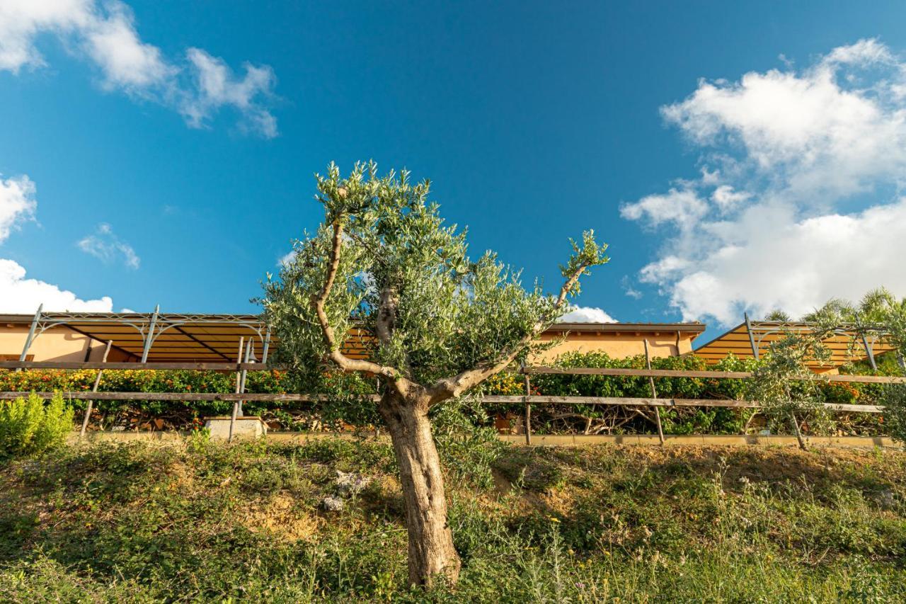 Solemar Sicilia - Le Casette Di Calzata Campofelice Di Roccella Exteriör bild