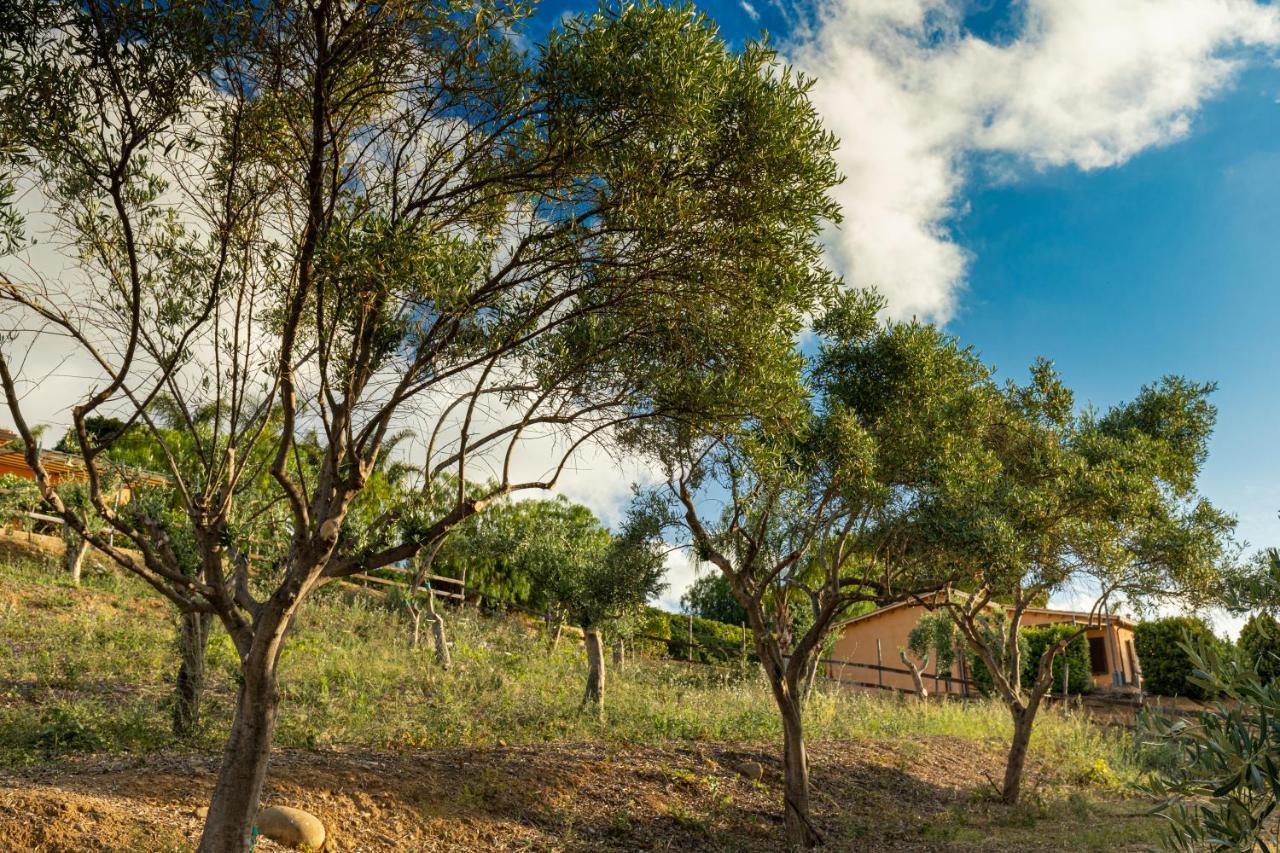 Solemar Sicilia - Le Casette Di Calzata Campofelice Di Roccella Exteriör bild