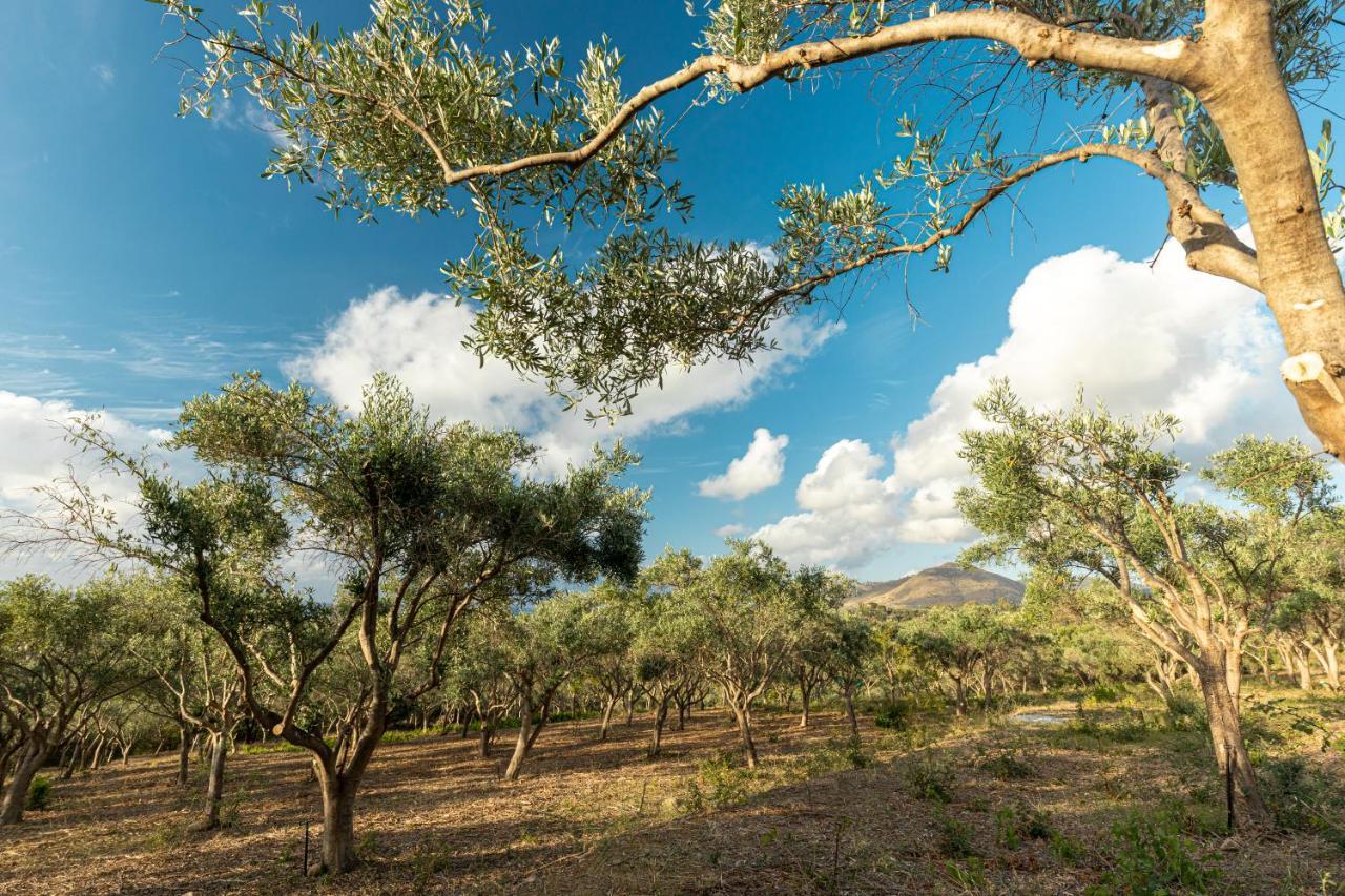 Solemar Sicilia - Le Casette Di Calzata Campofelice Di Roccella Exteriör bild